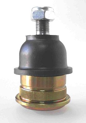 PN-019