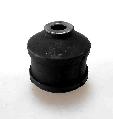 SBT-019